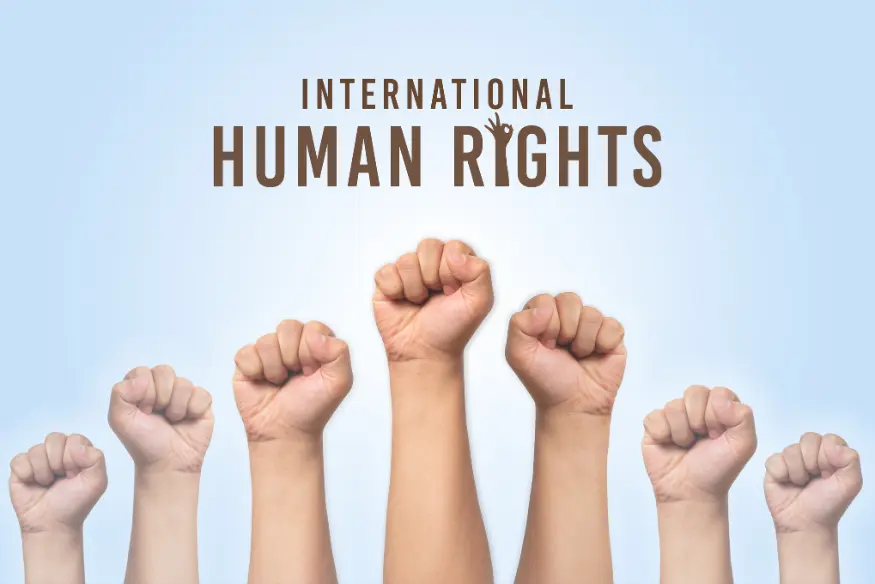 Asesoramiento en Derechos Humanos