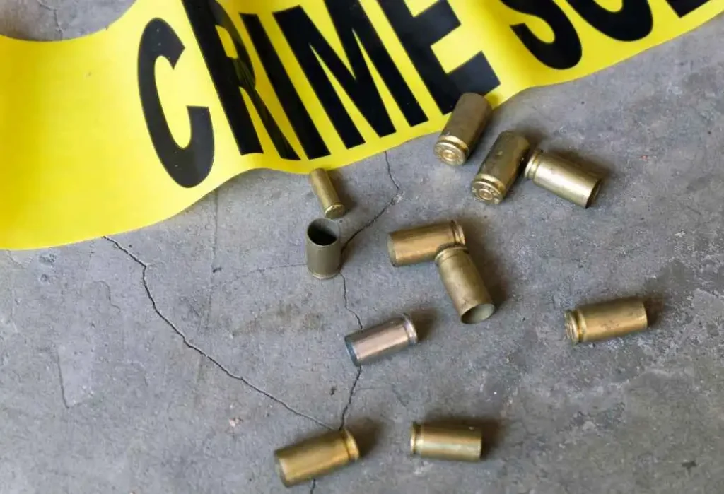 Delitos de Armas
